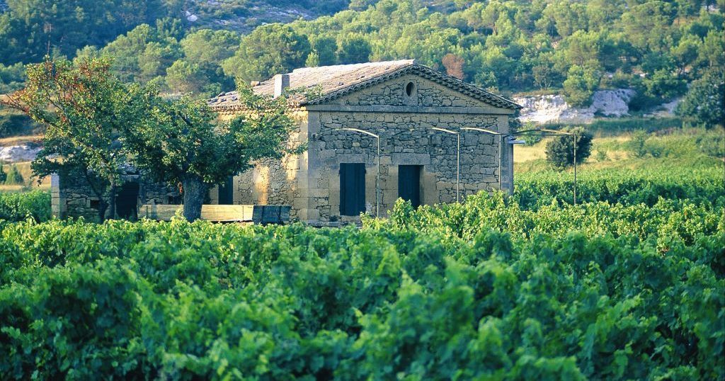 Coteaux d'Aix-en-Provence – Vins de provence