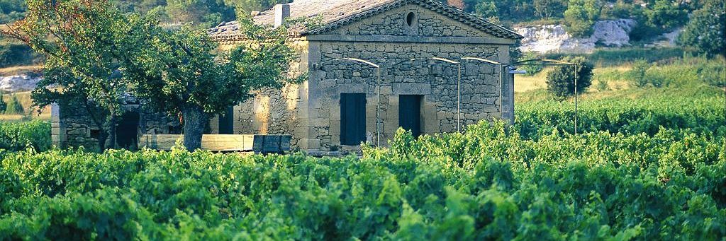 cap_050120_francoismillo.com_civp.jpg