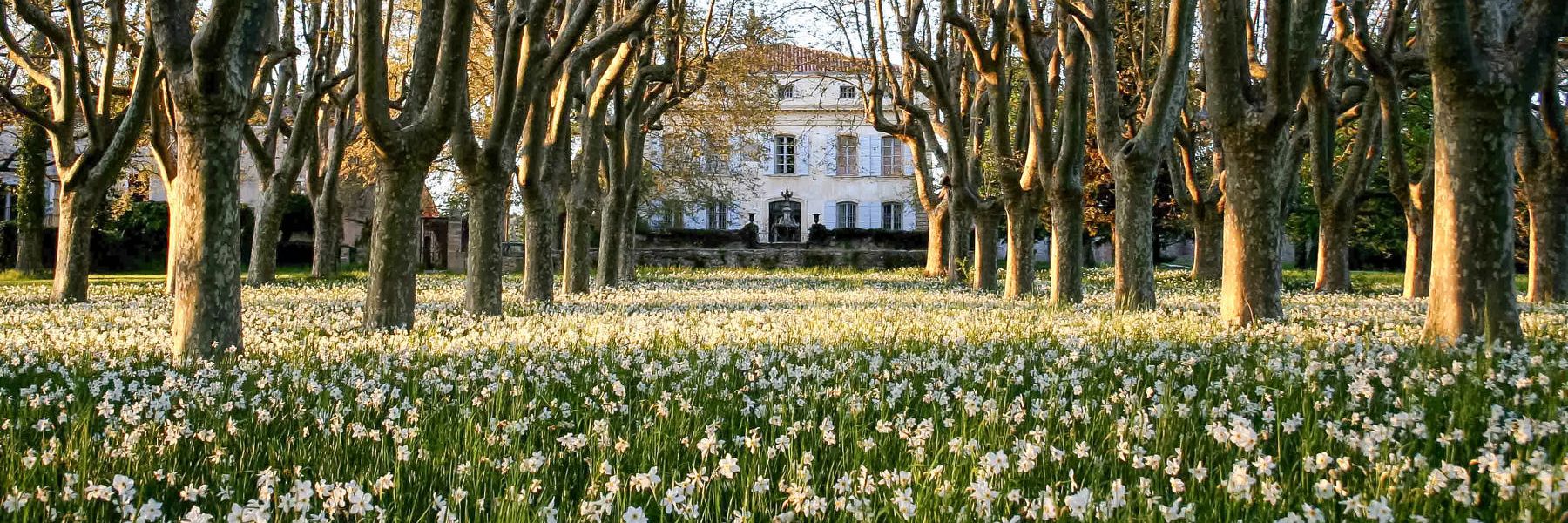 chateau_de_beaupre.jpg