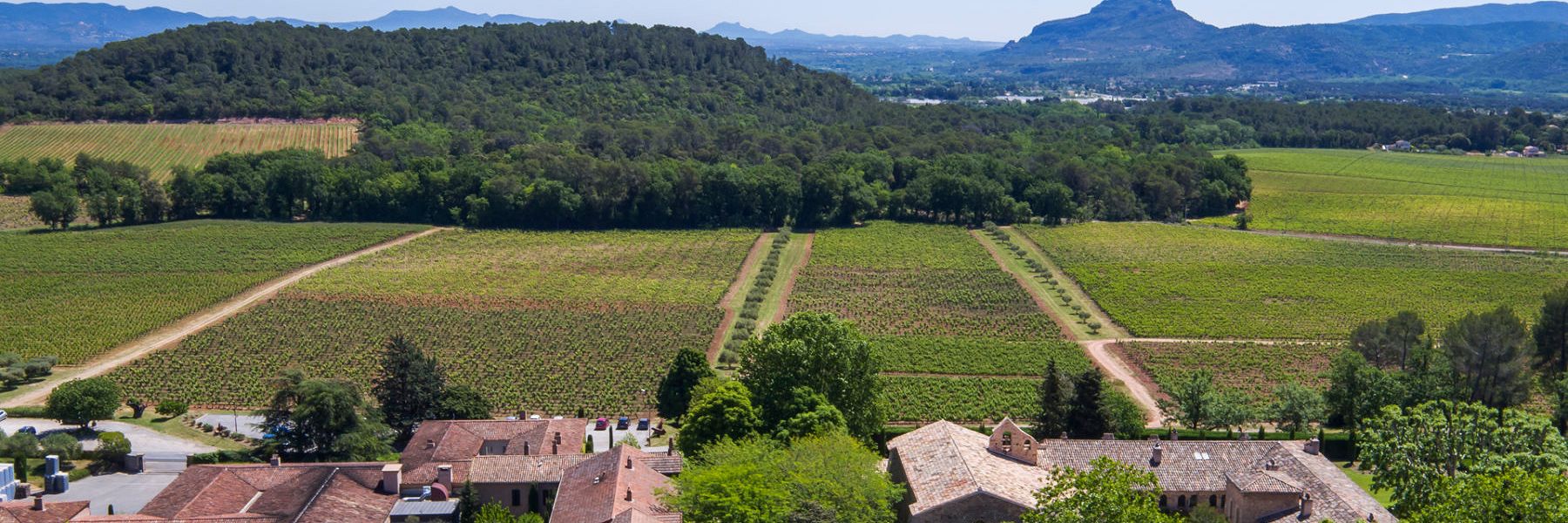 chateau_st._roseline.jpg