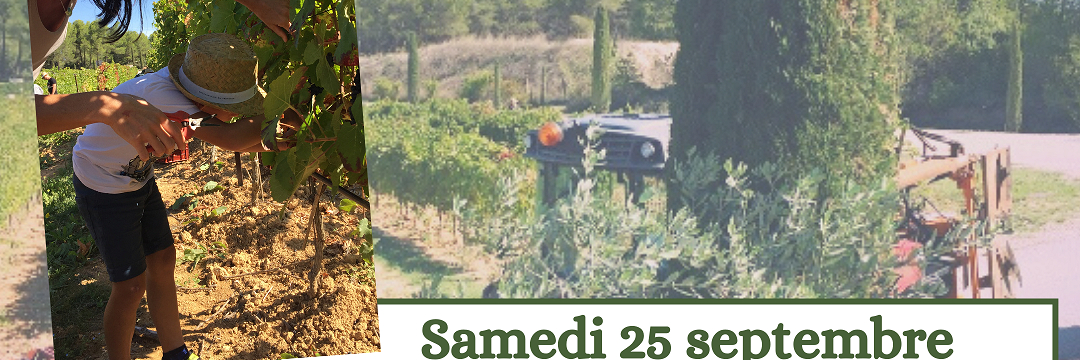 paradisvendnages.png