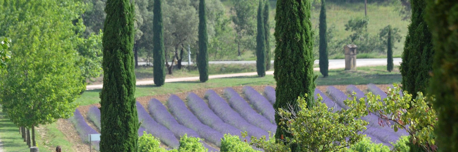 cvp_140719_francoismillo.com_civp.jpg