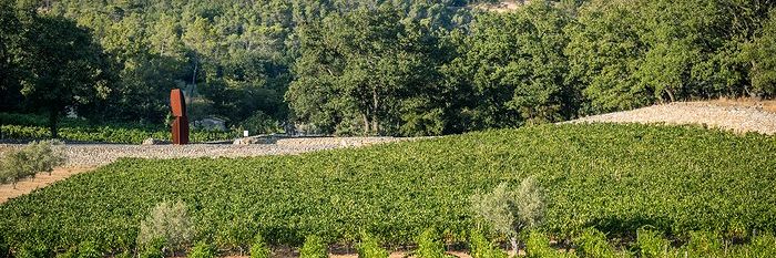 vendanges_a_peyrassol_vue_des_vignes_du_domaine.jpg