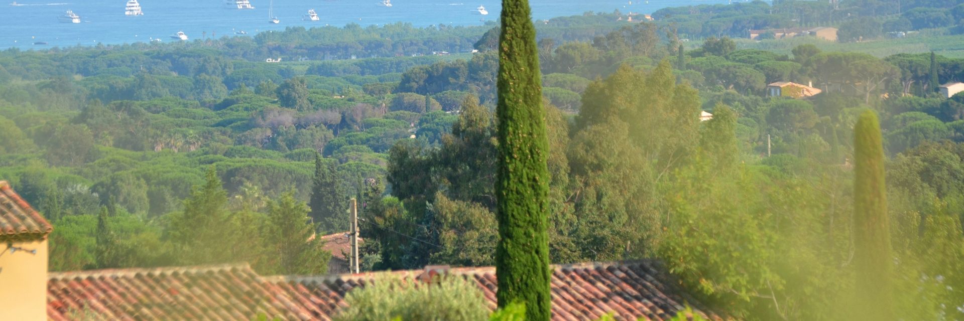 tt_140706_francoismillo.com_civp.jpg