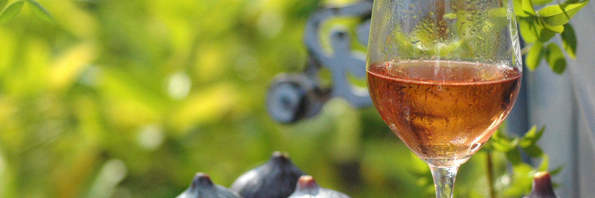 vins_de_provence.jpg
