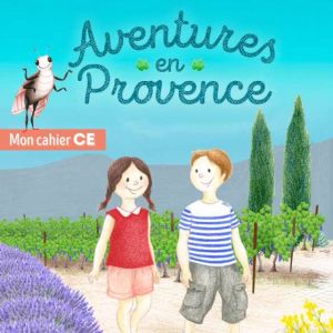 capture_couverture_ce.jpg