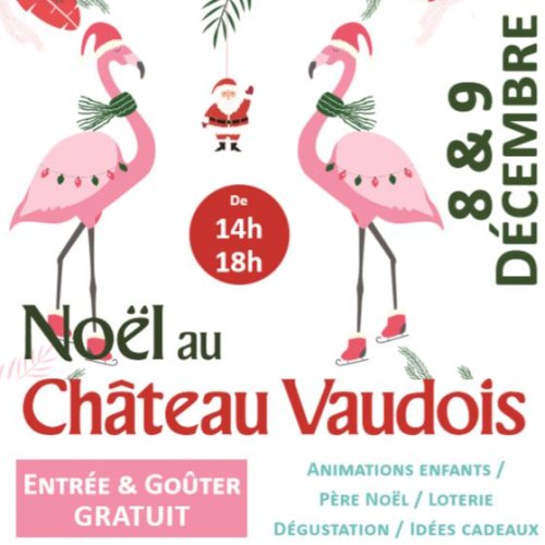 vaudoisnoel.jpg