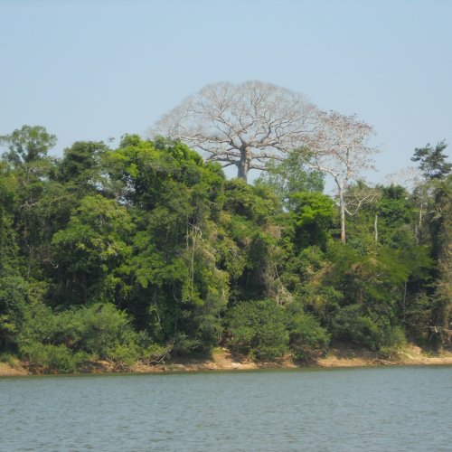 dscn1723.jpg