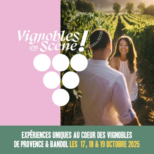 vignobles_en_scene_kit_comm_carre.jpg