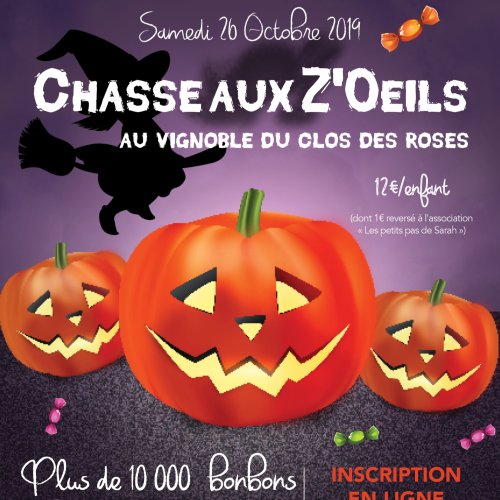 affiche_chasse_aux_zoeils_2019.jpg