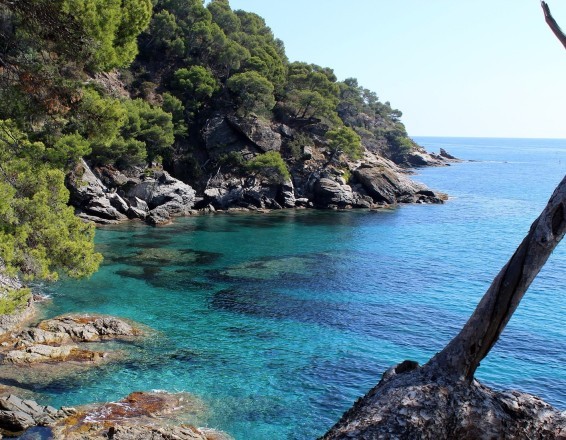calanques_copie.jpg