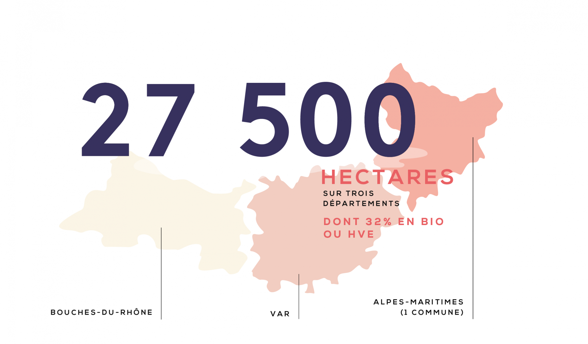 le_vignoble_pre_usentation_ge_une_urale_infographies_03_01.png