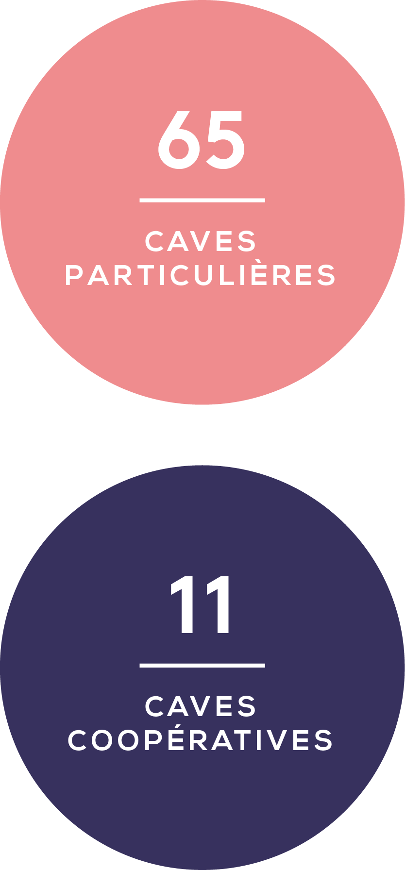 cvp_caves_mobile_fr.png