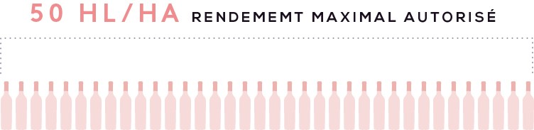 cotes_de_provence_sainte_victoire_4_rendement.jpg