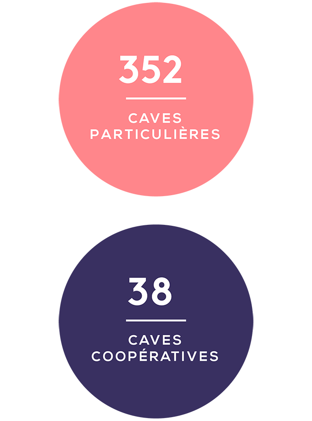 cotes_de_provence_3_filiere_mobile_01.png