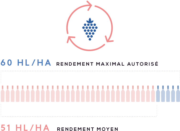 coteaux_aix_en_provence_4_rendement.png