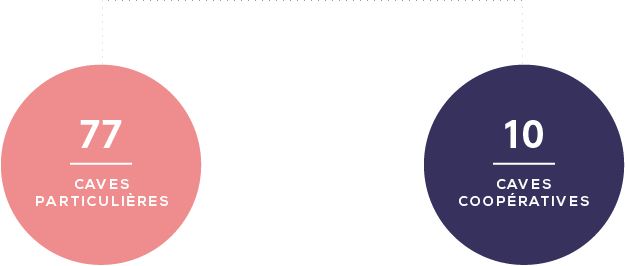 coteaux_varois_en_provence_3_filiere.png