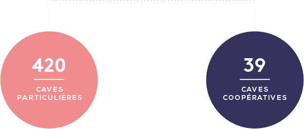 cotes_de_provence_3_filiere.png