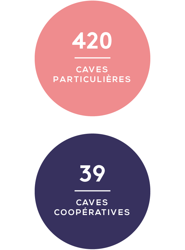 cotes_de_provence_3_filiere_mobile.png