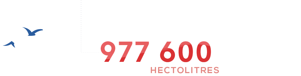 cotes_de_provence_1_hectolitres.png