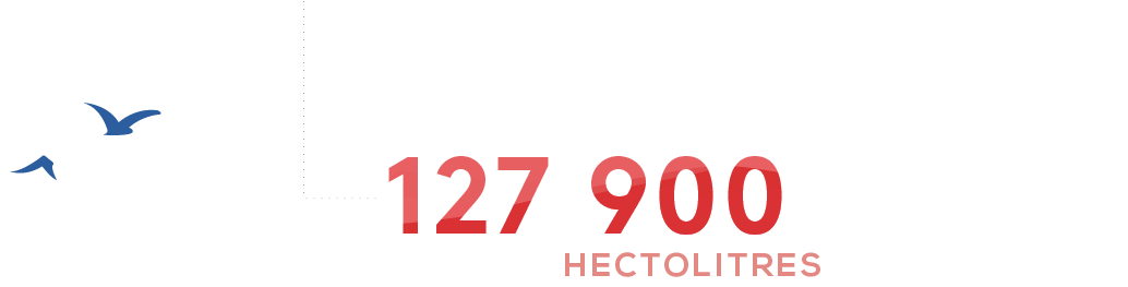 coteaux_varois_en_provence_1_hectolitres.png