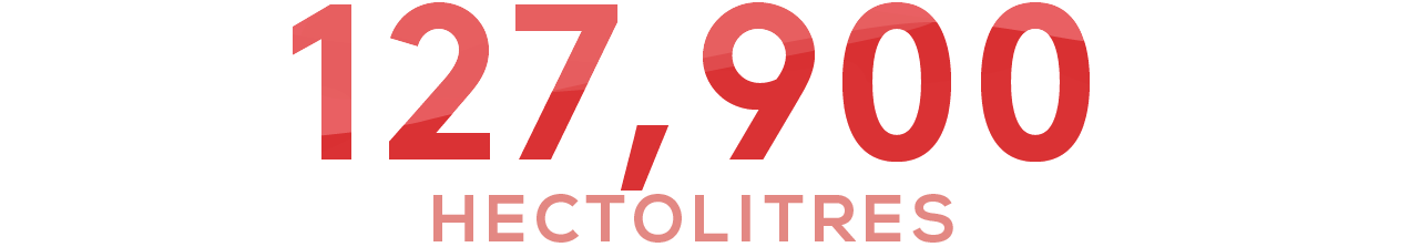 coteaux_varois_en_provence_1_hectolitres_mobile_en.png
