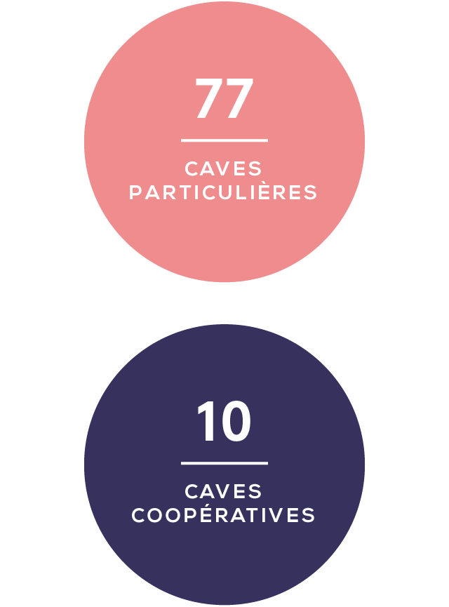 coteaux_varois_en_provence_3_filiere_mobile.png