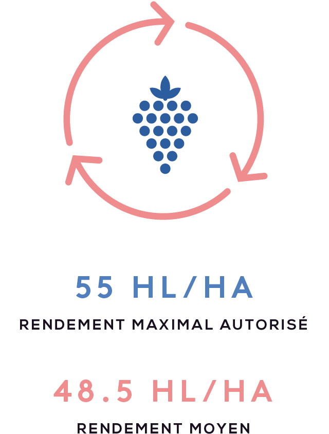 coteaux_varois_en_provence_4_rendement_mobile.png