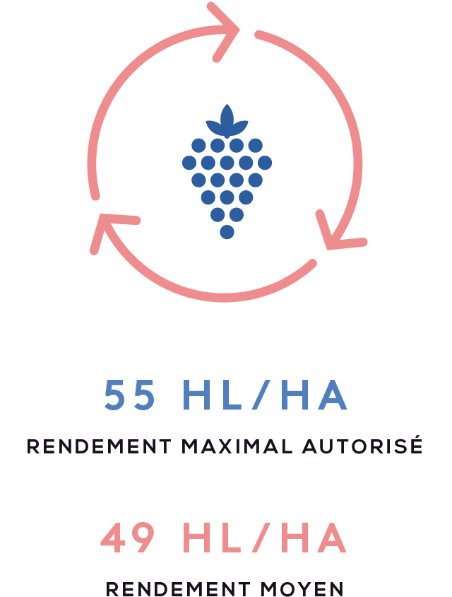 cotes_de_provence_4_rendement_mobile.png